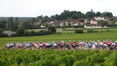 El pelotón, durante la sexta etapa, en la campiña de Borgoña.