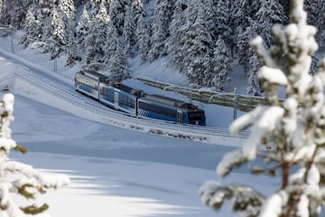 nevades importants,  paisatge,  Fir,  Railway,  Train,  Tree,  Vehicle