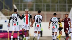 Palestino sorprende a sus hinchas: gran anuncio para la Copa Sudamericana