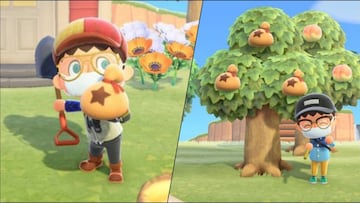 Cómo plantar árboles de bayas (dinero) en Animal Crossing: New Horizons