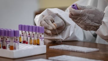 Una nueva cepa de coronavirus ser¨ªa la m¨¢s contagiosa y podr¨ªa inutilizar las vacunas