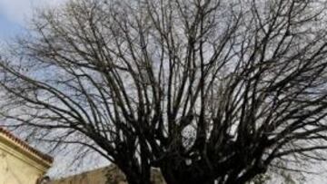 <b>ESCUELA GENERAL NÚMERO 66 DE LAS HERAS. </b>En el patio de este colegio jugó Lionel Messi cientos de picaditos en el recreo cada mañana durante su infancia.