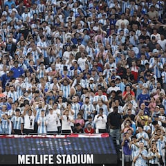 Argentina y Brasil dominan en las tribunas de la Copa América