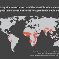 Un estudio identifica los países en los que es más probable que surja la próxima pandemia