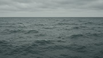 Scientists express concern about the ocean’s behavior: “I don’t even know if ‘surprised’ is the right word”