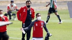 La nueva mala noticia que recibió Gustavo Quinteros en Colo Colo
