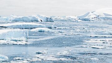 Cient¨ªficos predicen cu¨¢ndo se podr¨ªa derretir el hielo del ?rtico