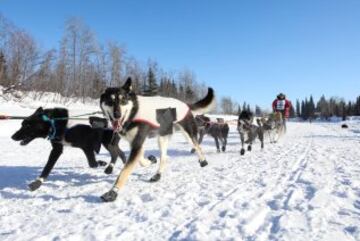 Iditarod: 1.000 km por el desierto de hielo de Alaska