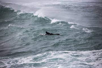 La Vaca. Cueto, Santander, Cantabria.