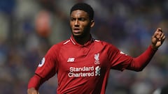 Liverpool defender Joe Gomez ruled out of key matches