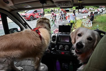 Seguidores del Tour de Francia disfrutando del paso de los ciclistas desde la cuneta