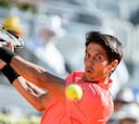 Verdasco se llevó el duelo español contra Gimeno Traver