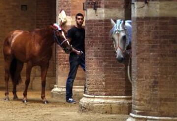 En Siena, desde mediados del siglo XVII, se celebra esta carrera de caballos a pelo con la intención de ganar el Palio, una bandera de seda que representa la Virgen con el Niño.