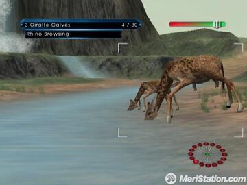 Captura de pantalla - wildearthgiraffe_at_stream_2_0.jpg