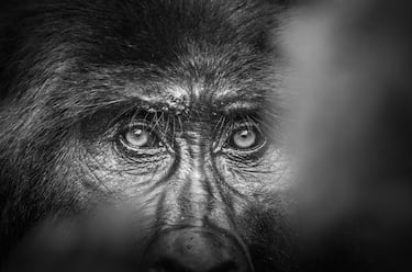Fotografía de Raúl García Carnero, jugador del Real Valladolid.