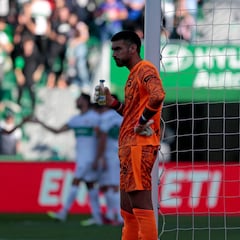 Gazzaniga y diez más