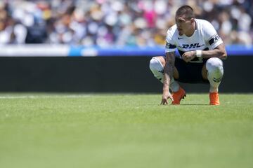 A los Pumas se les sigue dificultando encontrar el triunfo en las últimas semanas. De haber sido los líderes en algún momento del torneo han puesto en riesgo su posible regreso a liguilla.  Los auriazules igualaron 1-1 ante Necaxa con todo y la expulsión de Luis Quintana al comienzo del segundo tiempo. El equipo de David Patiño no gana desde la jornada 6 del Clausura 2018. Ha marcado 5 goles en sus últimos 7 compromisos de liga y ha dejado escapar el resultado en 4 ocasiones desde aquel último triunfo. 