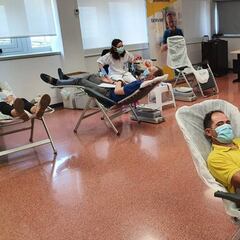 En qué se diferencia donar plasma de donar sangre