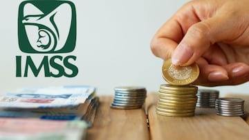 Así podrás solicitar la Pensión del IMSS para los padres de trabajadores fallecidos