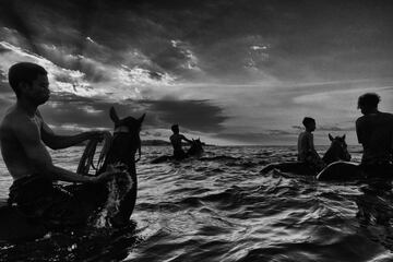 Los niños jockeys (de entre 5 y 10 años) viajan a pelo, descalzos, con poco equipo de protección y en caballos pequeños, durante las carreras de tradicionales de Maen Jaran, en la isla de Sumbawa, Indonesia.