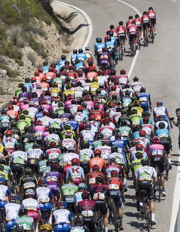 El pelotón en el transcurso de la carrera.