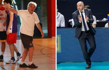 La saga de los Laso se extiende ya por tres generaciones, aunque en las dos primeras es donde está el foco principal. Pepe, nacido en plena Guerra Civil, jugó intermitentemente en Madrid y Vitoria. En la ciudad vasca hizo carrera también como entrenador, al igual que en Valladolid y Zaragoza. Después pasó a los despachos. Un formador excepcional que superados los 80 años sigue dando lecciones allí donde se le requiere. Su hijo Pablo es uno de los directores de juego más prolíficos que España dio en el siglo XX (máximo asistente de la historia de la ACB) y es ya uno de los mejores entrenadores de la historia a nivel europeo (Euroligas, Ligas, Copas y muchas distinciones a sus espaldas). El Real Madrid revivió con la figura de Pablo después de unos años muy oscuros en su sección de baloncesto, cautivó no sólo por sus victorias sino por el juego vivaz que desplegaba. No todos confiaban cuando llegó procedente del GBC, donde destacó con una plantilla sustancialmente peor y recibió el encargo del equipo en el que todo, con su padre, empezó sesenta años antes. Uno de los relevos de Pablo Laso, su hijo Aksel, ya está entrenando en la cantera del club blanco. Actualmente Pablo Laso entrena al Baskonia.