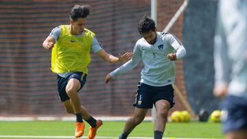 Las 7 cosas que debes saber de Pumas para el Apertura 2018