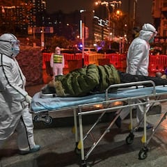 Qué son las Arcas de Noé en China que se pueden trasladar a España