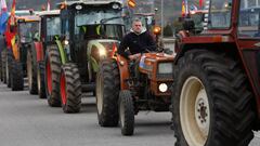 Agricultores y tractores en una manifestación durante la décima jornada de protestas de los tractores en las carreteras españolas, a 15 de febrero de 2024, en Ponferrada, León, Castilla y León (España). Agricultores y ganaderos de toda España han sacado sus tractores a las carreteras por décimo día consecutivo, para pedir mejoras en el sector, entre ellas exigir ayudas para afrontar las sequías que sufre el campo. Además, protestan contra las políticas europeas y su falta de rentabilidad.
15 FEBRERO 2024;MANIFESTACIÓN;AGRICULTORES;GANADEROS;TRACTORES;TRACTORADA;MEJORAS;CAMPO;SEQUÍAS
Carlos Castro / Europa Press
15/02/2024