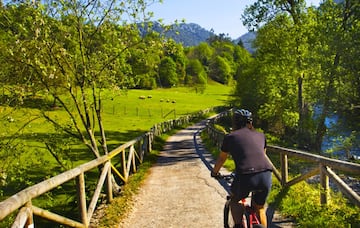 Se trata de una magnífica vía de tren minero reconvertida en senda verde que discurre entre los concejos de Proaza, Teverga, Quirós y Santo Adriano. Así pues, puede recorrerse a pie o en bicicleta.  La senda parte del área de descanso de Tuñón y tiene forma de ‘Y’ por los que cuenta con dos opciones de 30 km. para realizar el recorrido, Tuñón-Cueva Huerta (Teverga) y Tuñón- Ricao (Quirós). Es una senda peatonal, de baja dificultad y bien señalizada, cuyo mayor aliciente es ver a las osas que se encuentran en el cercado a mitad de camino, aunque la Senda del Oso es mucho más.