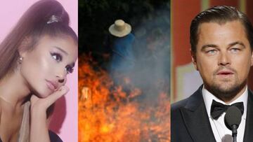 Mientras la selva del Amazonas arde en Brasil, distintas celebridades como J Balvin, Ariana Grande, Leonardo DiCaprio han alzado la voz.