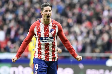 Con once años se incorporó a las categorías inferiores del Atlético de Madrid donde fue subiendo hasta debutar en 2001 con el primer equipo donde defendió los colores del Atleti hasta julio de 2007 que ficha por el Liverpool de Rafa Benítez. Torres regresó en 2015 al Atlético de Madrid donde permaneció hasta junio de 2018.