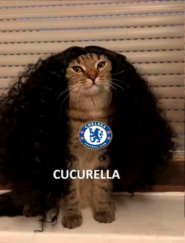 Los mejores memes del fin de semana