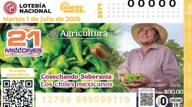 Resultados Sorteo Mayor 3977: números que cayeron y lista de premios hoy 1 de julio del 2025