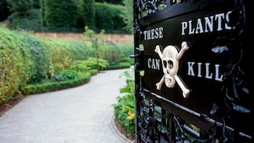 Según explicó la duquesa de Northumberland, el Poison Garden es un santuario dedicado al estudio y al conocimiento acerca del uso de plantas tóxicas a lo largo de la historia.