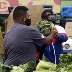 Quinto pago del IFE: cómo consultar si soy beneficiario con RUT y fecha de nacimiento