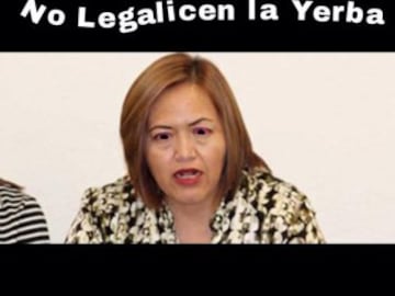 #LadyMemes Diputada mexicana propone ley anti memes