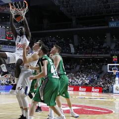 Las claves de las eliminatorias de cuartos de la Euroliga