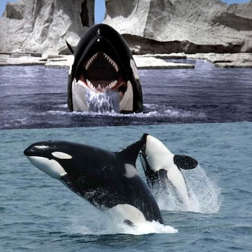 Orca: La ballena asesina