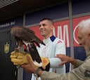 Jara, el halcón que cuida de la Ciudad de Fútbol de Las Rozas