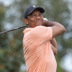 Tiger da motivos para soñar con su vuelta a la élite