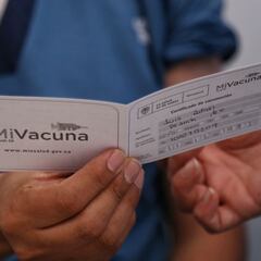 ¿Desde cuándo será obligatorio presentar el certificado covid para entrar en el país?