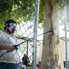 Curva del coronavirus en México hoy, 21 de junio: ¿cuántos casos y muertes hay?