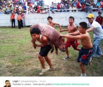 Los memes que dejó el empate entre Católica y Colo Colo