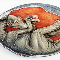 Descubren un bebé dinosaurio perfectamente conservado en un huevo