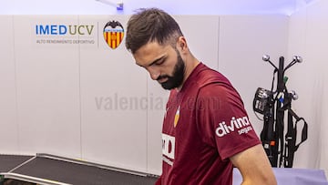 Mamardashvili, presente