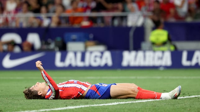 Mucho ruido, poca nuez