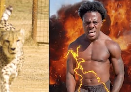 Un streamer reta a una carrera a un guepardo, está a punto de ganar y acaba llevándose un zarpazo