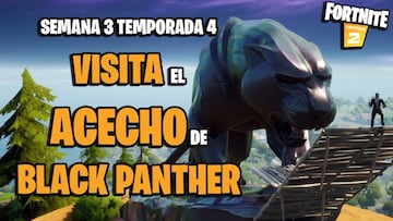 Desaf&iacute;o de Fortnite: &iquest;d&oacute;nde est&aacute; el Acecho de Black Panther?