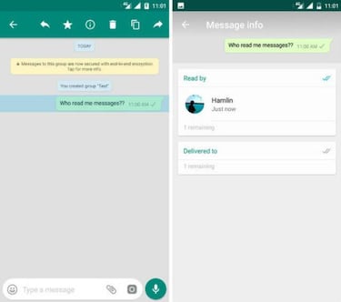 Cómo saber quién ha leído tu mensaje en un grupo de WhatsApp